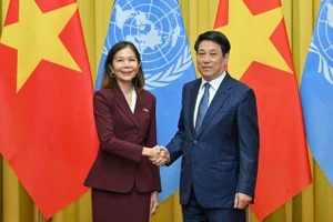 越南国家主席梁强会见联合国常驻越南协调员塔梅西斯。