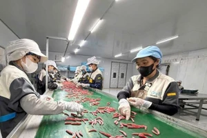 私营企业投资现代化农业生产线，提高生产力，提升产品出口价值。