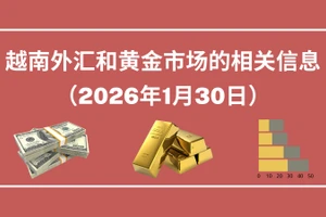 越南外汇和黄金市场的相关信息【图表新闻】