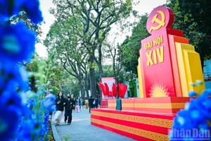 越共十四大——凝聚全民族智慧、意志与发展渴望【视频】