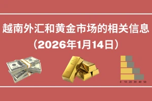 越南外汇和黄金市场的相关信息【图表新闻】