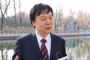 北京外国语大学东南亚研究中心主任米良教授。（图片来源：越通社）