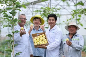 附图：越南果树行业设定2025年水果出口额超50亿美元的目标。