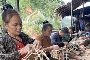 在安那乡，编织水葫芦的可持续生计模式有助于改善山区居民的生活。