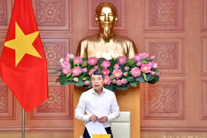 政府总理黎明兴与外交部领导举行会议。