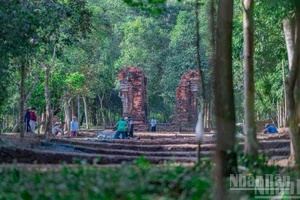探访美山圣地新发现的“圣道”【组图】