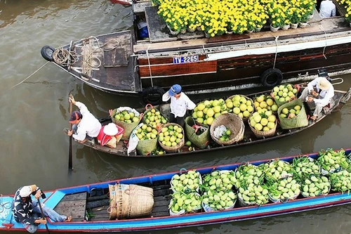 附图。（玉梅 摄）
