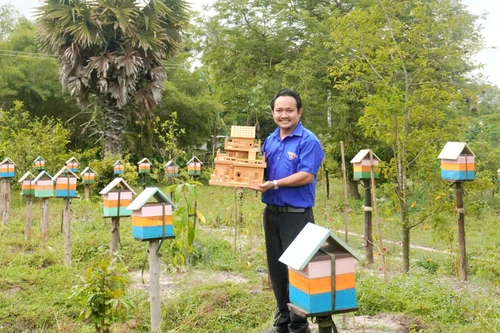 安江省泰山坊的年轻人阮忠成成功开展无刺蜂养殖模式，获得可观收入。（图片来源：越通社）