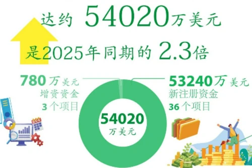 2026年前2月越南对外投资总额同比增长1.3倍【图表新闻】