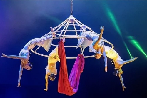 越南杂技在"金象"国际马戏节上斩获三项大奖。（图片来源：越通社）