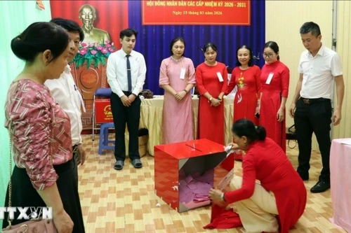 预计3月22日公布第十六届国会代表选举结果。（图片来源：越通社）