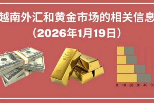 越南外汇和黄金市场的相关信息【图表新闻】