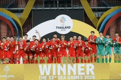 第33届东运会：越南体育迈向新高峰的征程。（图片来源：越通社）