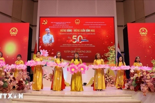 旅居泰国越南侨胞迎新年的艺术演出。（图片来源：越通社）