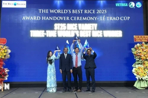 越南ST25大米被授予2025年度“世界最香大米”奖杯。