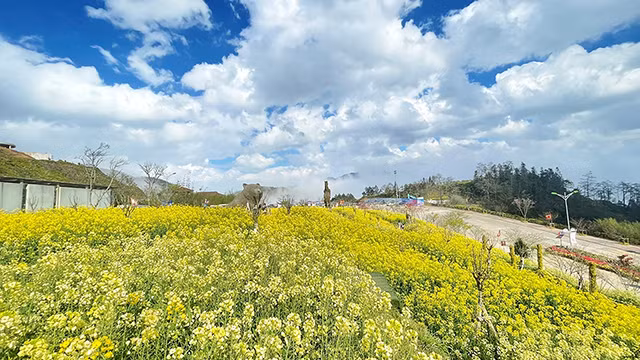 番西邦：祈求平安季节的目的地（组图） ảnh 1