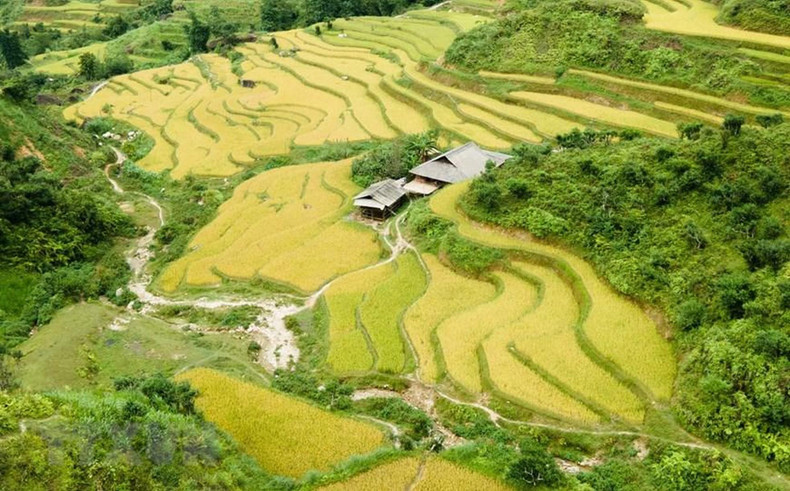 那一阶阶梯田就像那流水般的从天而降,美极了。 那一阶阶梯田就像那流水般的从天而降,美极了。