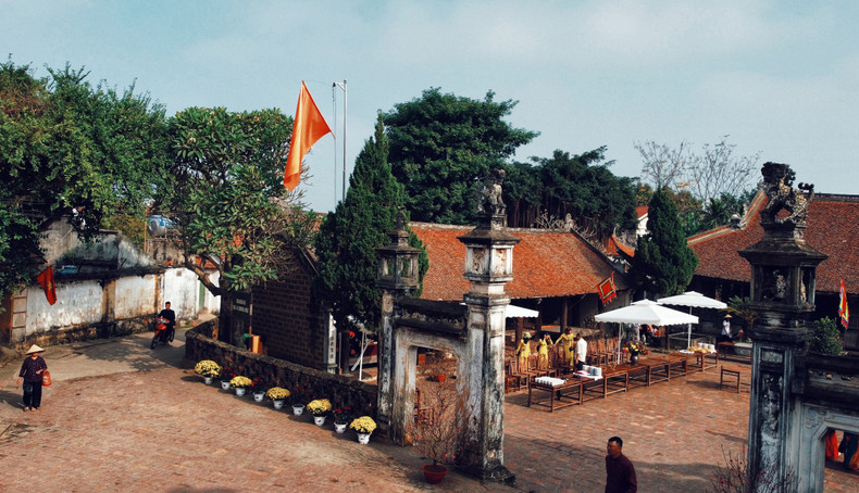 蒙阜亭前的菊花盛开，色彩斑斓鲜艳夺目。