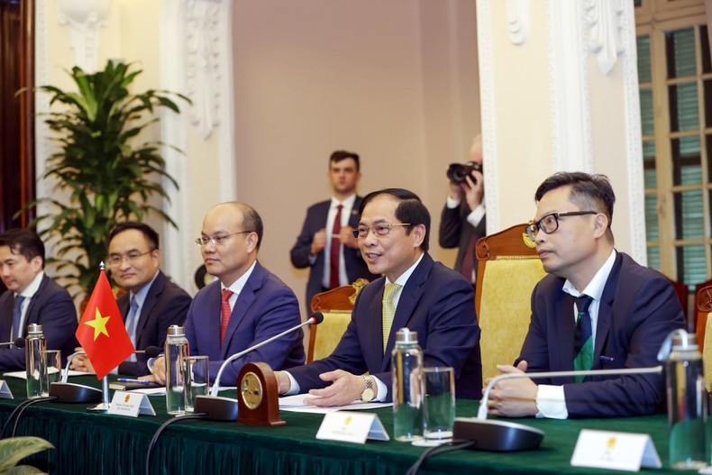 越南外交部长裴青山在会谈中发表讲话。 越南外交部长裴青山在会谈中发表讲话。