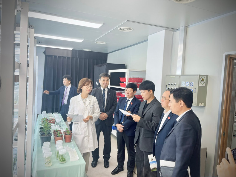 永福省人民委员会主席黎维成一行参观忠清北道农业研究院。