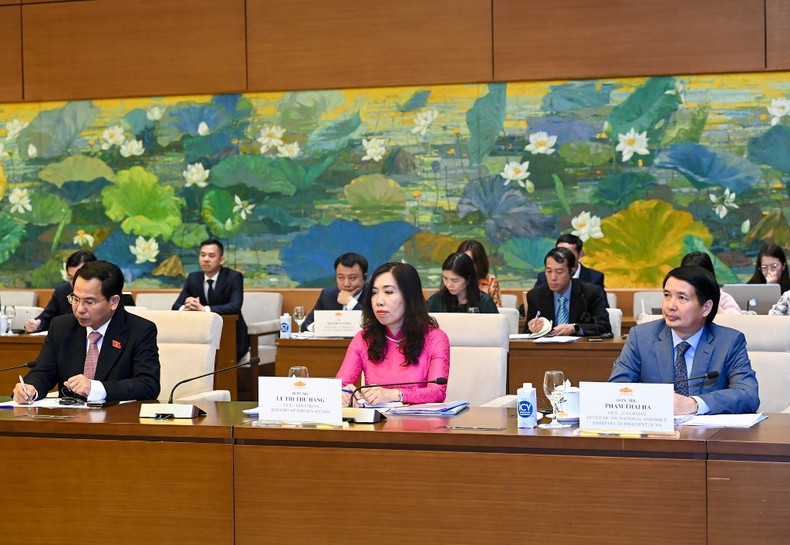 越南国会主席王廷惠与比利时参议院议长斯蒂芬妮·德霍斯举行会谈【组图】 ảnh 9 越南国会主席王廷惠与比利时参议院议长斯蒂芬妮·德霍斯举行会谈【组图】 ảnh 9