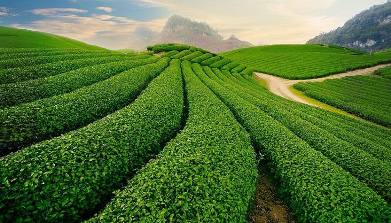 梅州美景。 梅州美景。