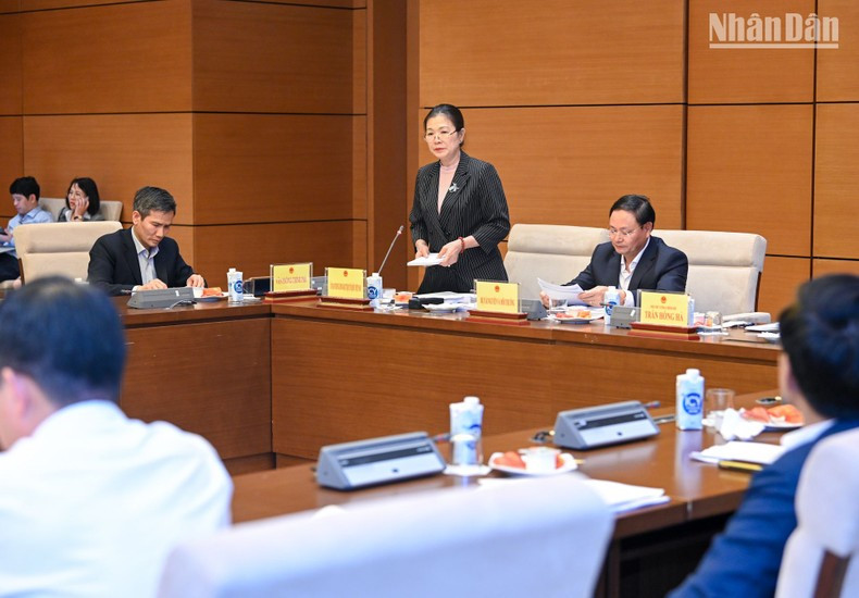 越南祖国阵线中央委员会副主席张氏玉映在会上作报告。 越南祖国阵线中央委员会副主席张氏玉映在会上作报告。