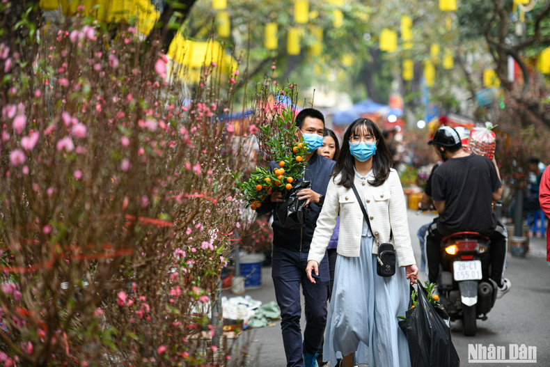 梳街春节花卉市场是河内市传统文化之美。