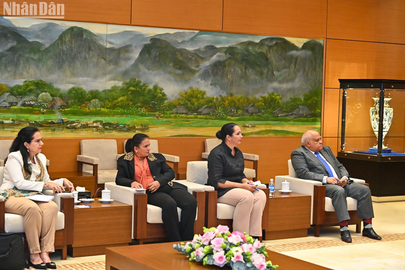 古巴驻越南大使和古巴妇联代表团成员。 古巴驻越南大使和古巴妇联代表团成员。