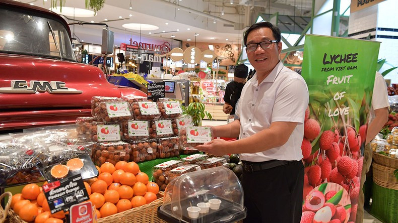 VIFOCO进出口股份公司董事长、经理阮春越。