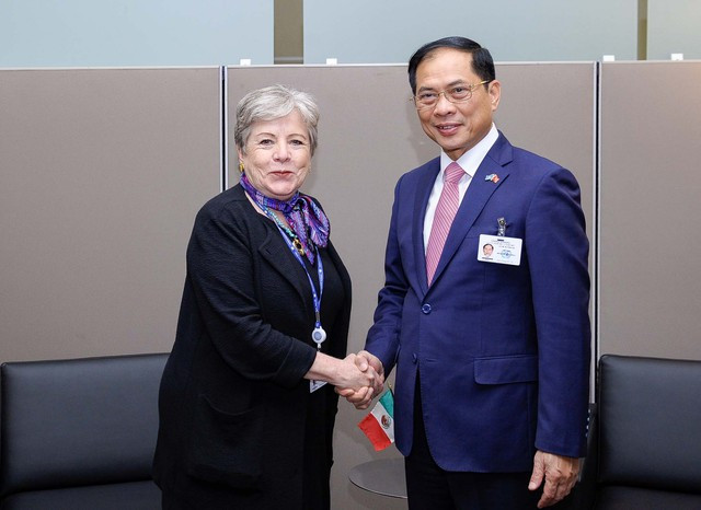 越南外交部长裴青山会见墨西哥外交部长阿莉西亚·巴尔塞纳。（图片来源：VGP）