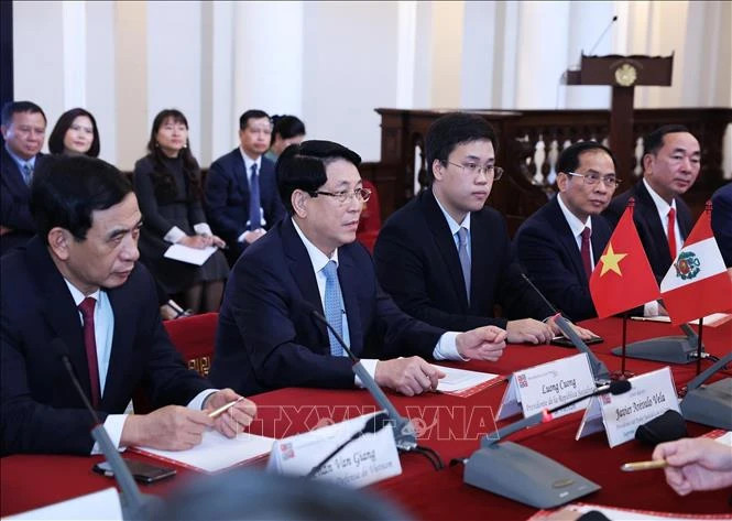 越南国家主席梁强发表讲话。 越南国家主席梁强发表讲话。