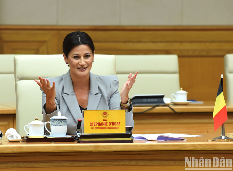 比利时参议院议长斯蒂芬妮·德霍斯在会见中发表讲话。