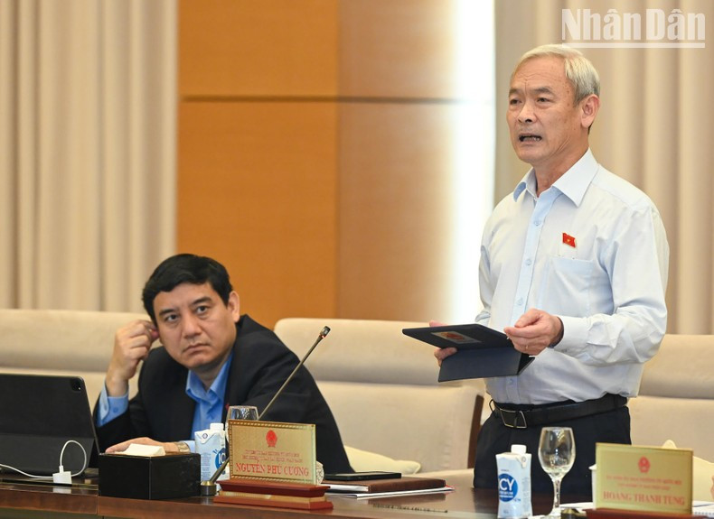 国会财政预算委员会主任阮富强在会议上发言。