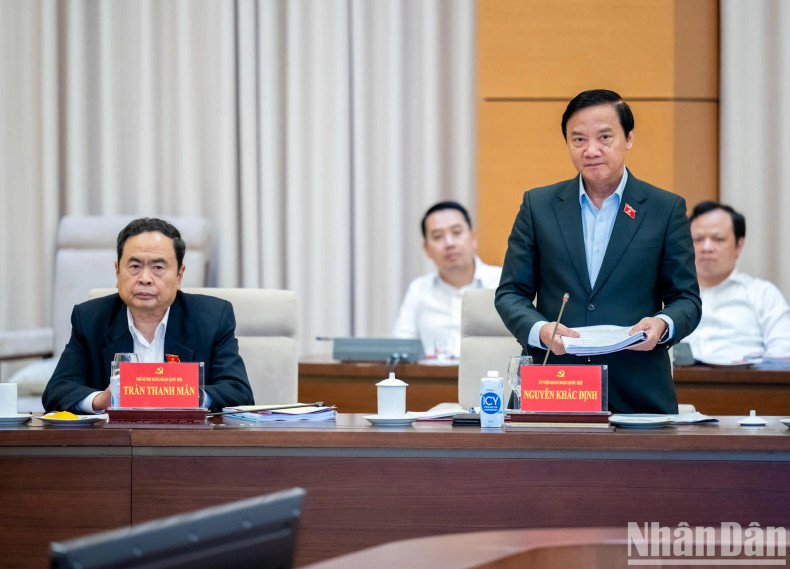 国会副主席阮克定发表讲话。