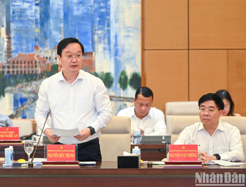 义安省人民委员会主席阮德忠发表讲话。