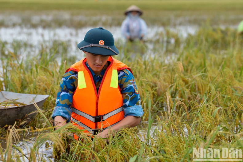 防空空军军种361师64团副政委邓文胜中校表示，为了配合执行克服三号台风后果，单位已派遣50名干部前来帮助农民收割水稻，最大限度地为人民群众减少损失。