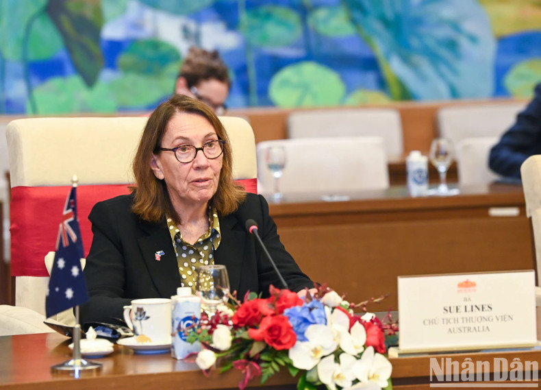 澳大利亚联邦议会参议长苏·莱恩斯发表讲话。 澳大利亚联邦议会参议长苏·莱恩斯发表讲话。