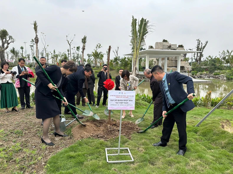 各位代表种植樱花树。 各位代表种植樱花树。