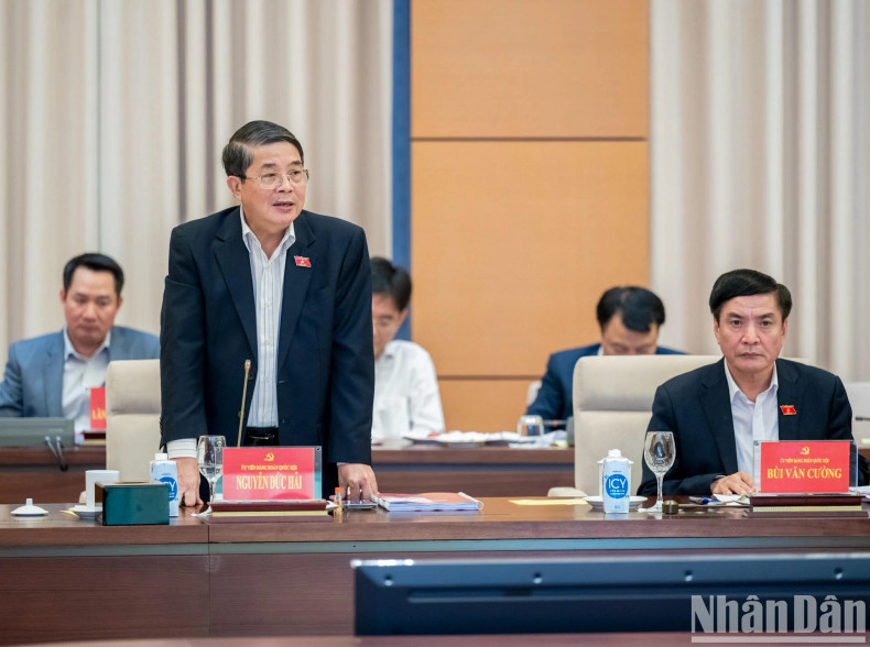 国会副主席阮德海发表讲话。