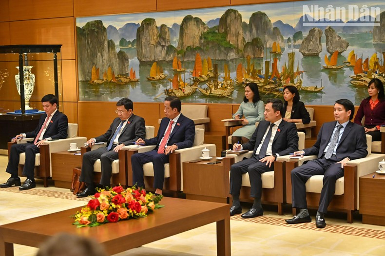 越南国会代表。 越南国会代表。