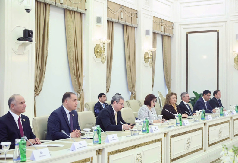 越共中央总书记苏林会见阿塞拜疆国民议会议长萨黑巴·加法罗娃【组图】 ảnh 2