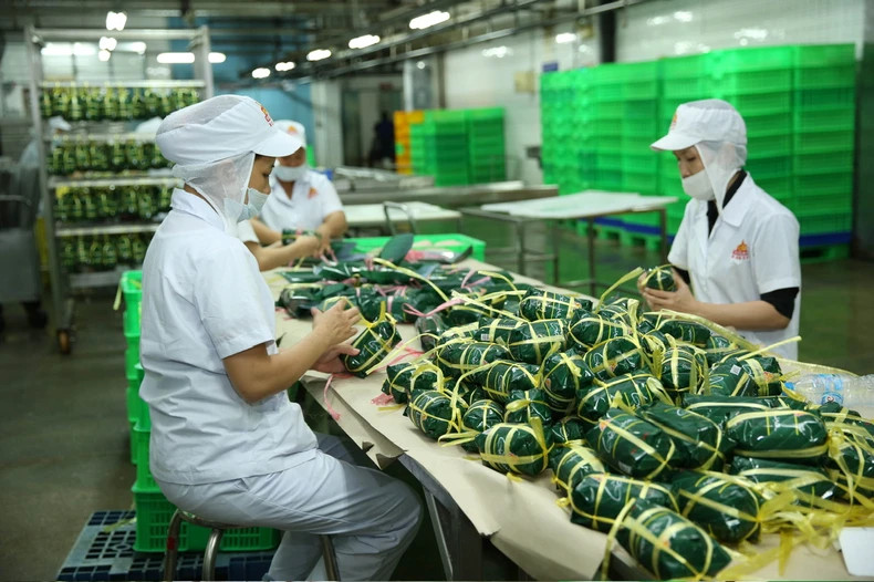 VISSAN的产品生产加工活动。