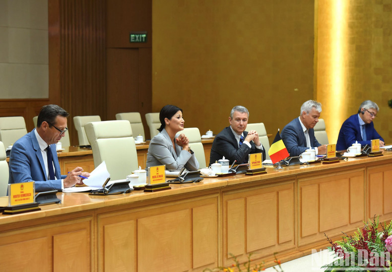 比利时参议院议长斯蒂芬妮·德霍斯在会见中发表讲话。