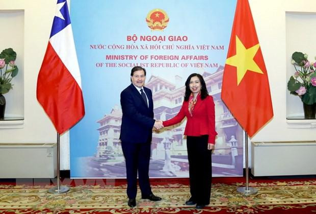 智利外交部外交政策秘书长亚历克斯·韦茨格和越南外交部长助理黎氏秋姮。(图片来源:越通社) 智利外交部外交政策秘书长亚历克斯·韦茨格和越南外交部长助理黎氏秋姮。(图片来源:越通社)