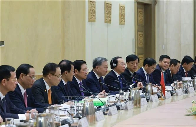 苏林总书记和越南代表团成员出席会谈。