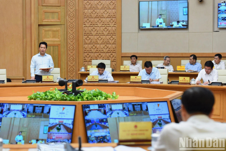 越南自然资源与环境部部长邓国庆在会议上发表讲话。