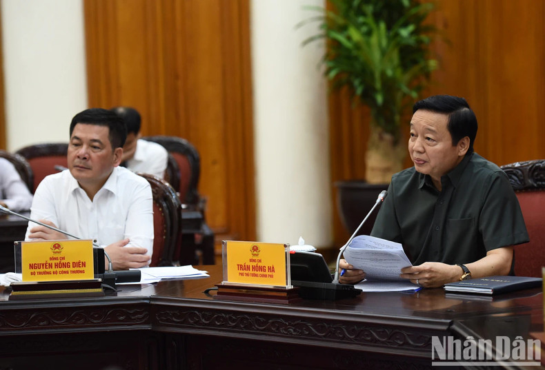 越南政府副总理陈红河发表讲话。