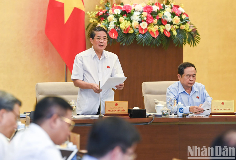 越南国会副主席阮德海发表讲话。 越南国会副主席阮德海发表讲话。