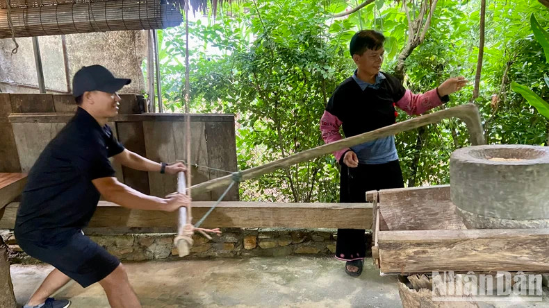 游客在乡村体验有趣活动。 游客在乡村体验有趣活动。